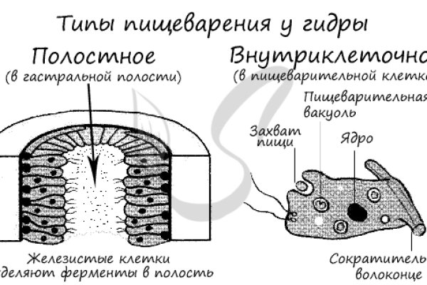 Kraken оригинальная ссылка