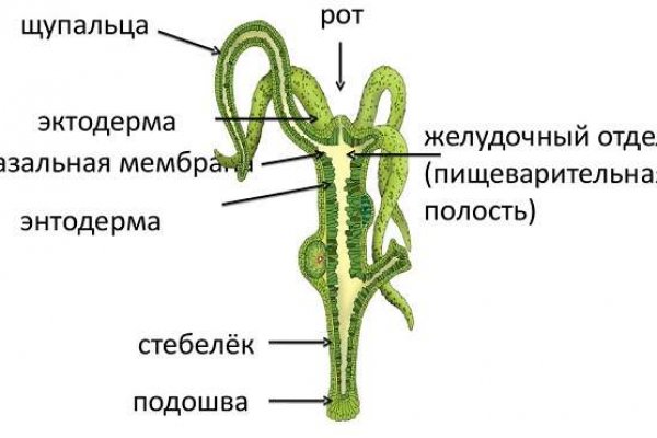 Магазин веществ кракен