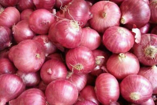 Onion сайт кракен